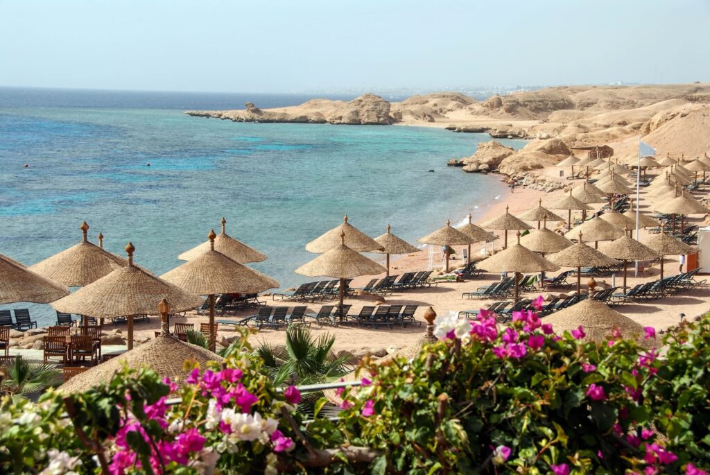 Ägypten Urlaub 2024 / 2025