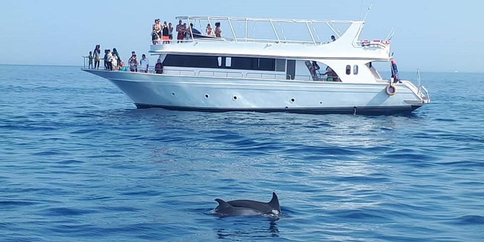 Hurghada Bootstour Delphine 2025