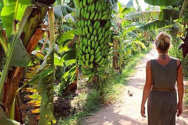 Banana Island in Luxor