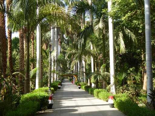 Botanischer Garten in Assuan – Grüne Oase im Nil