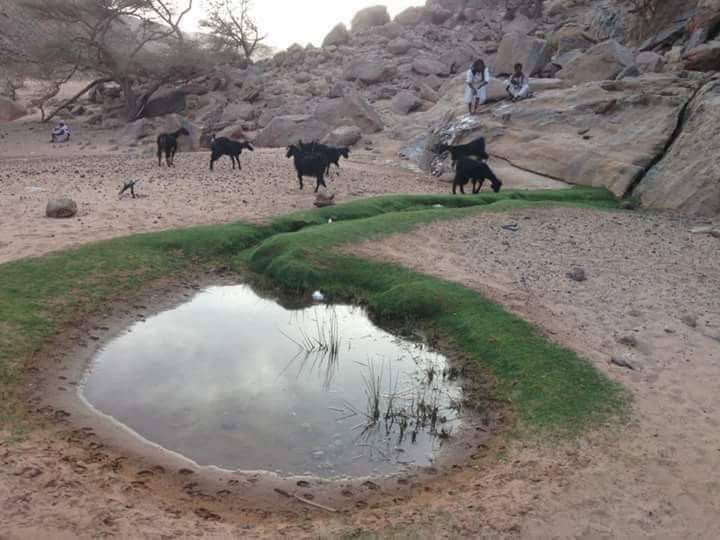 Die Römische Wasserpforte im Wadi Safa nördlich von Shalateen