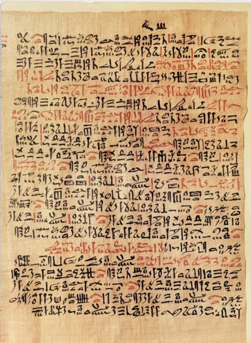 Die medizinischen Papyri