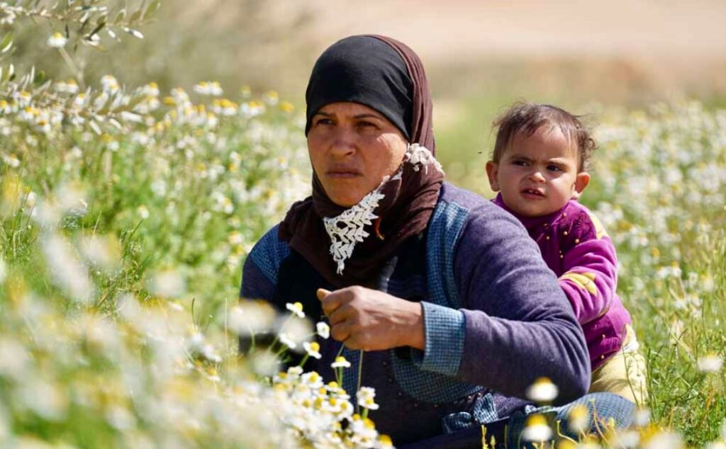 lokale Souvenirs Ägypten