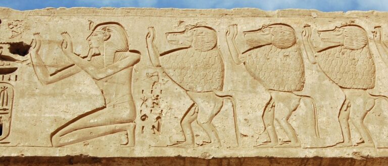 Die Affen im Alten Ägypten